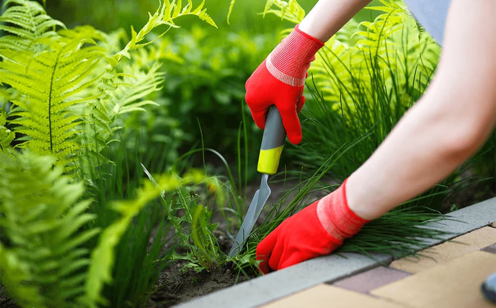 Weed Control